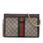 Small GG Supreme Web Ophidia Chain Crossbody
