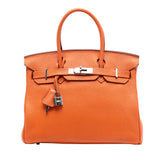 Togo Birkin Retourne 30