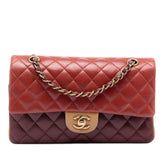 Medium Classic Tricolor Lambskin Double Flap