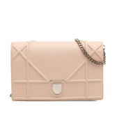 Grained Calfskin Diorama Wallet on Chain