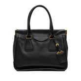 Saffiano Lucido Top Handle Frame Tote