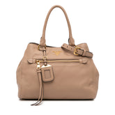 Vitello Phenix Satchel