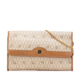 Honeycomb Canvas Chain Shoulder Bag