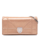 Metallic Grained Calfskin Diorama Wallet on Chain