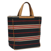 Burberry Blue Label Handbag Canvas