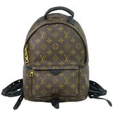 Louis Vuitton Palm Springs Backpack Monogram Canvas