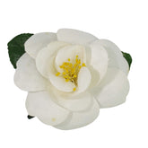Chanel CC Camellia Brooch Plastic with Faux Pearl