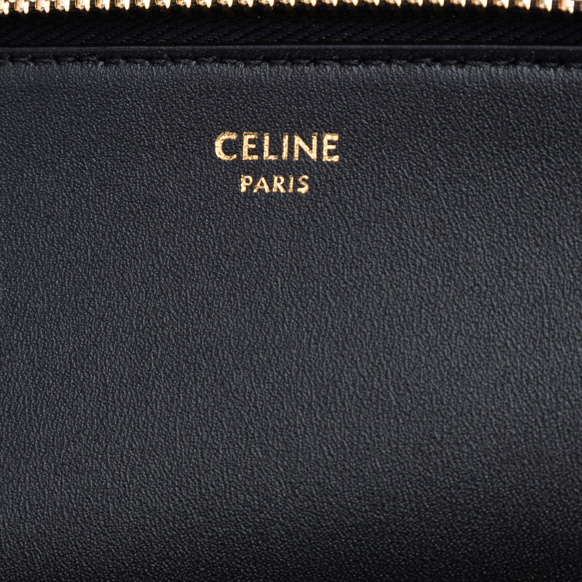 Shiny Calfskin Triomphe Pouch