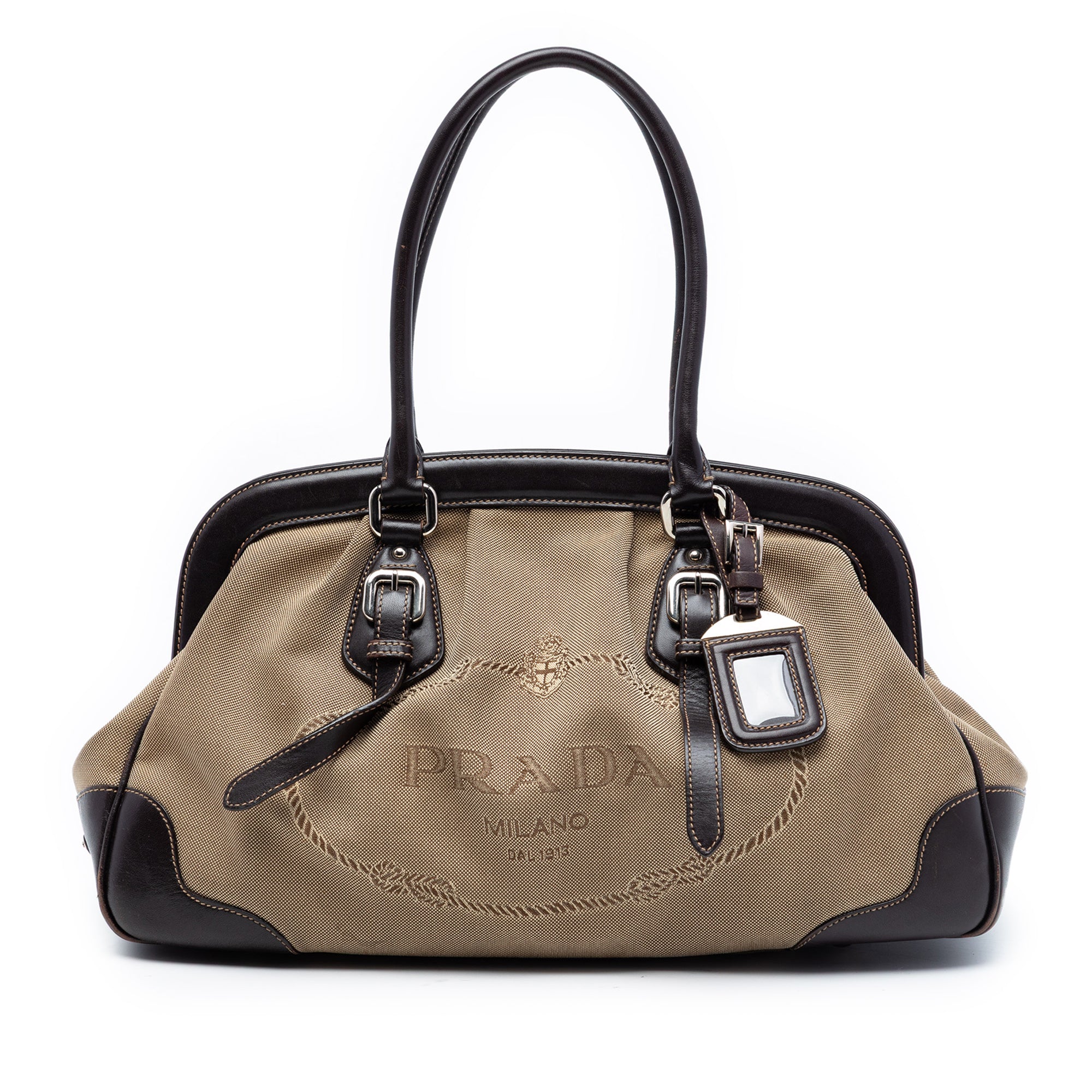 Leather Trimmed Canvas Canapa Logo Frame Handbag