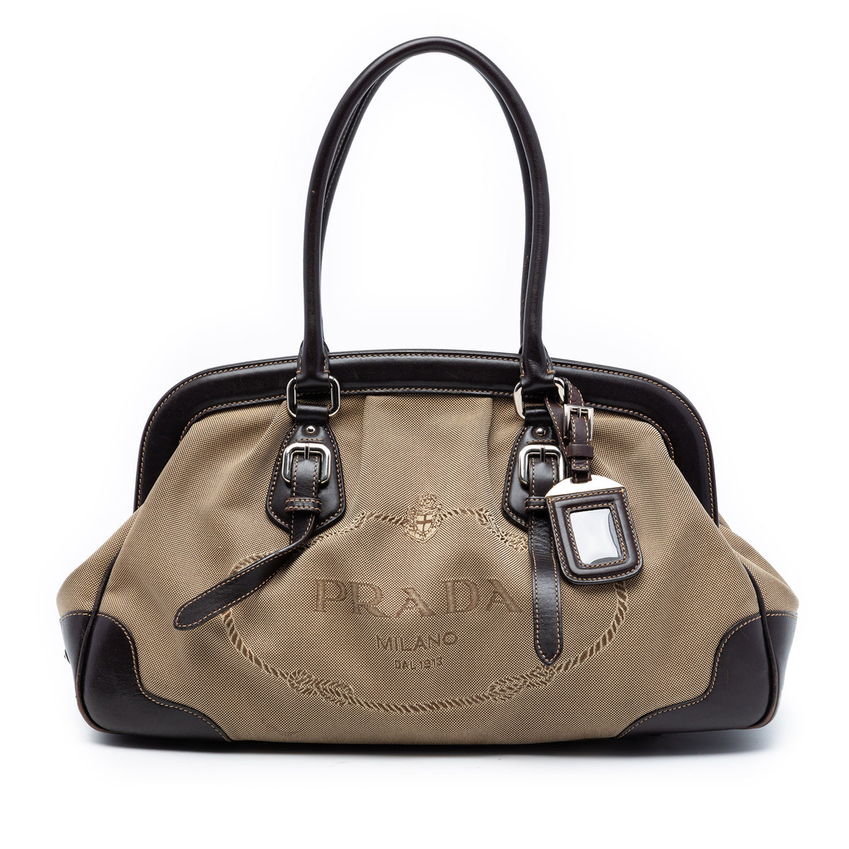 Leather Trimmed Canvas Canapa Logo Frame Handbag