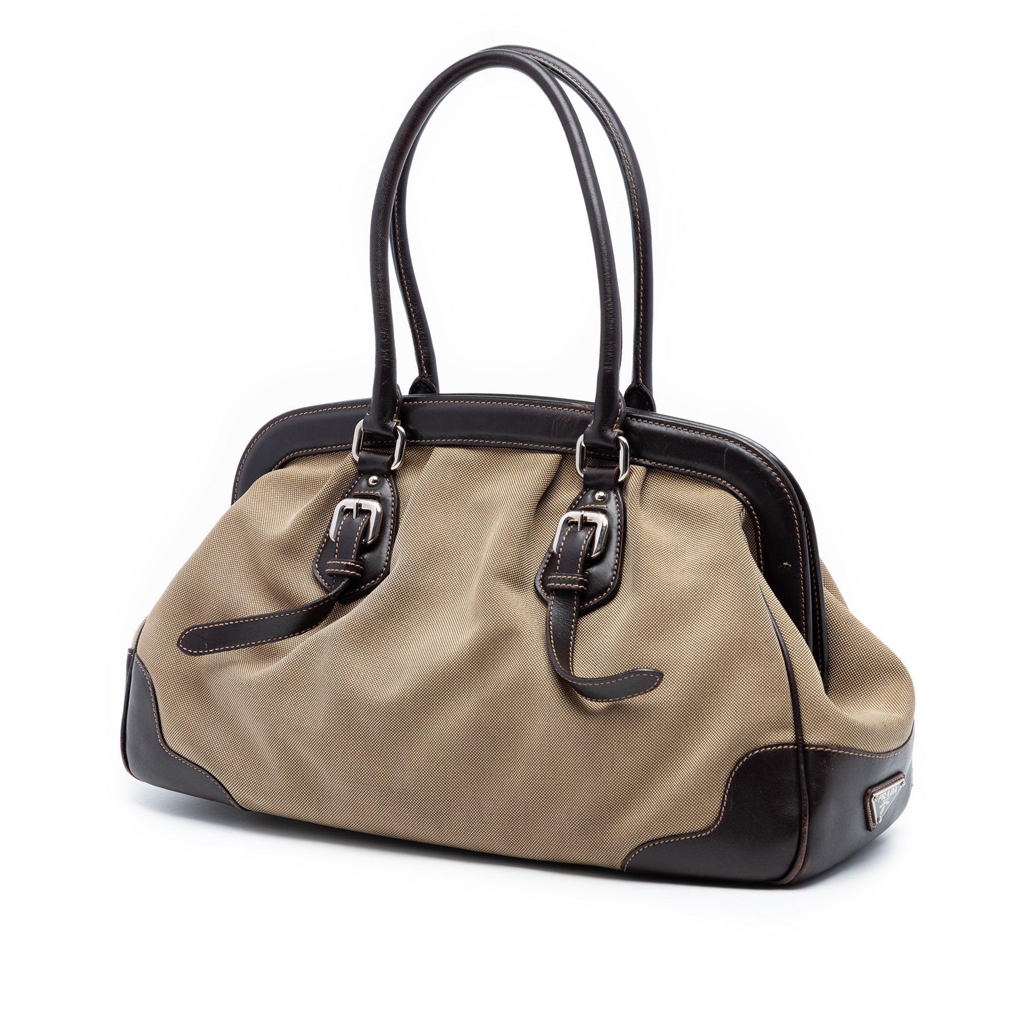 Leather Trimmed Canvas Canapa Logo Frame Handbag