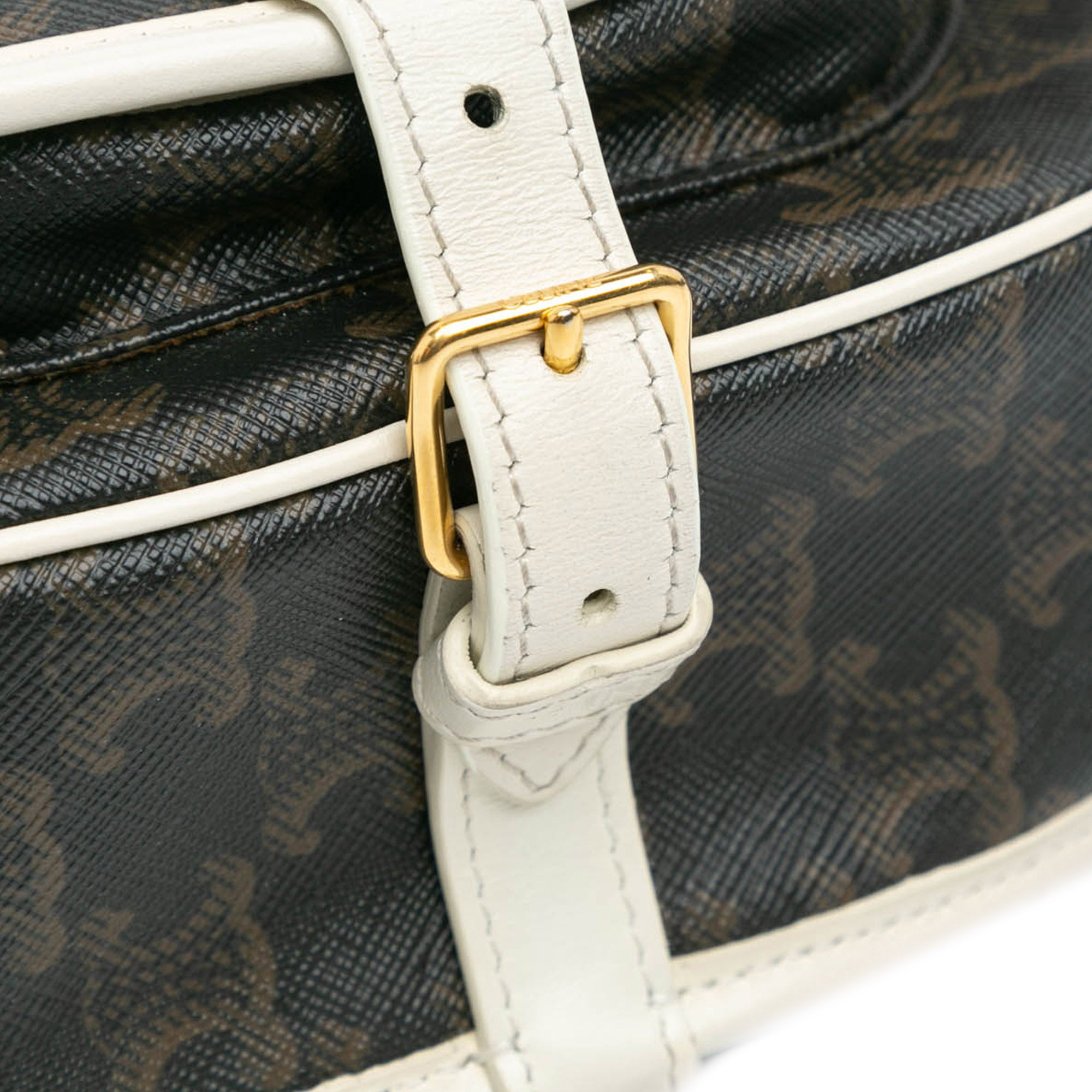Medium Triomphe Coated Canvas Folco Crossbody