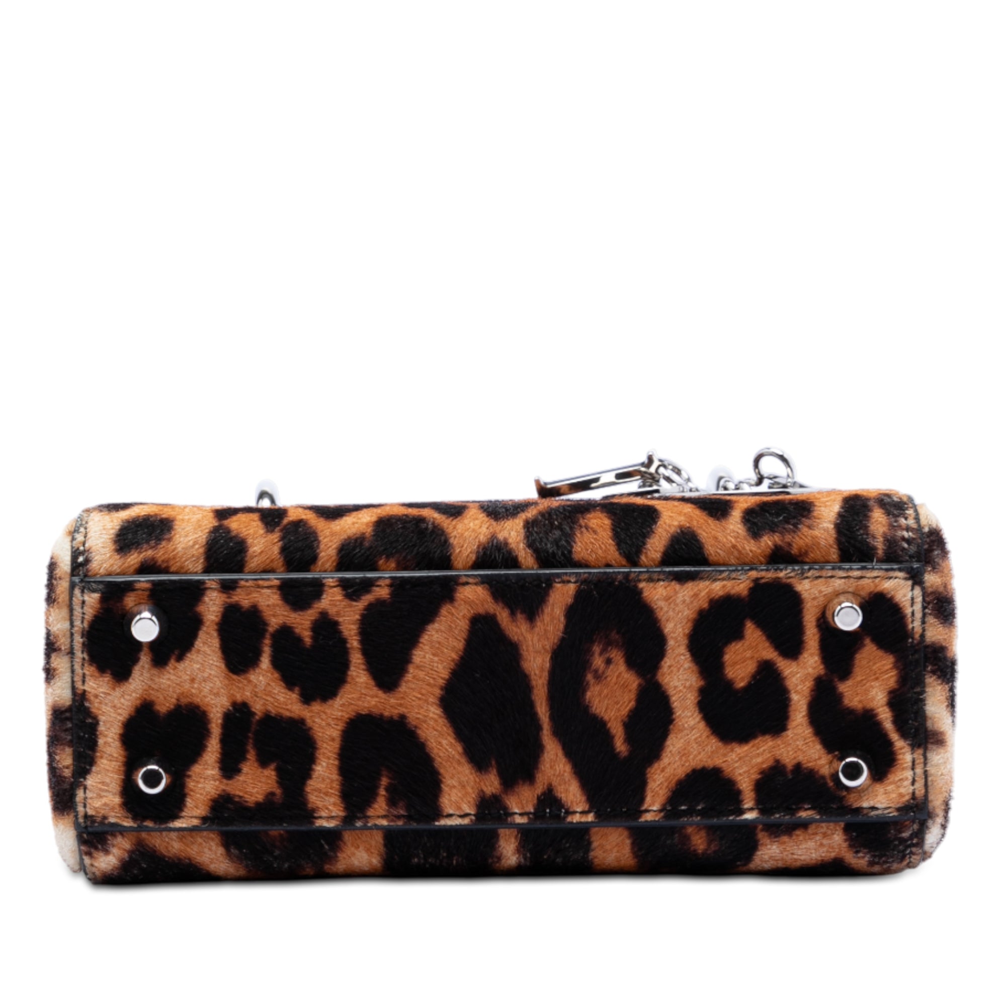 Mini Pony Hair Leopard Print Lady Dior