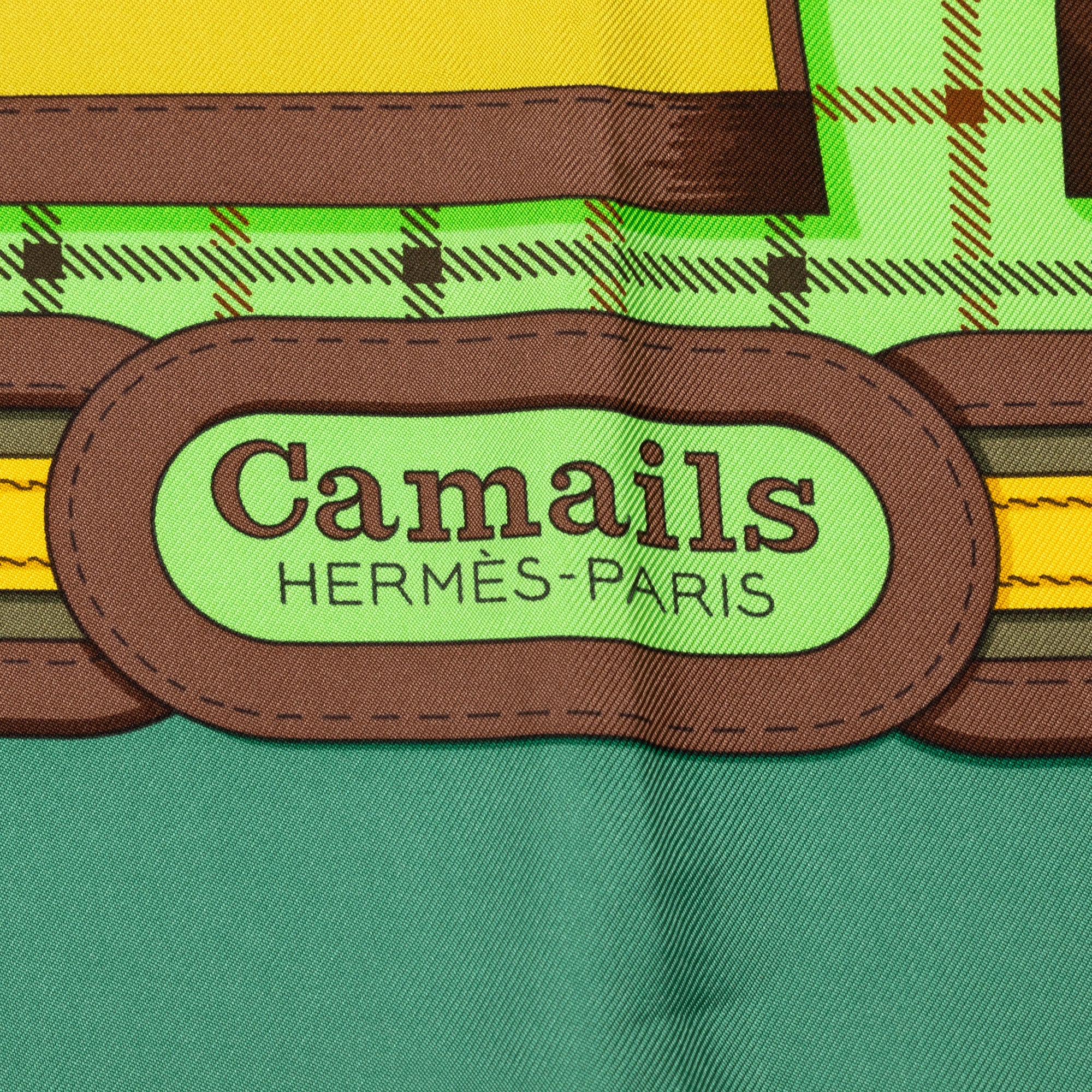 Camails Silk Scarf