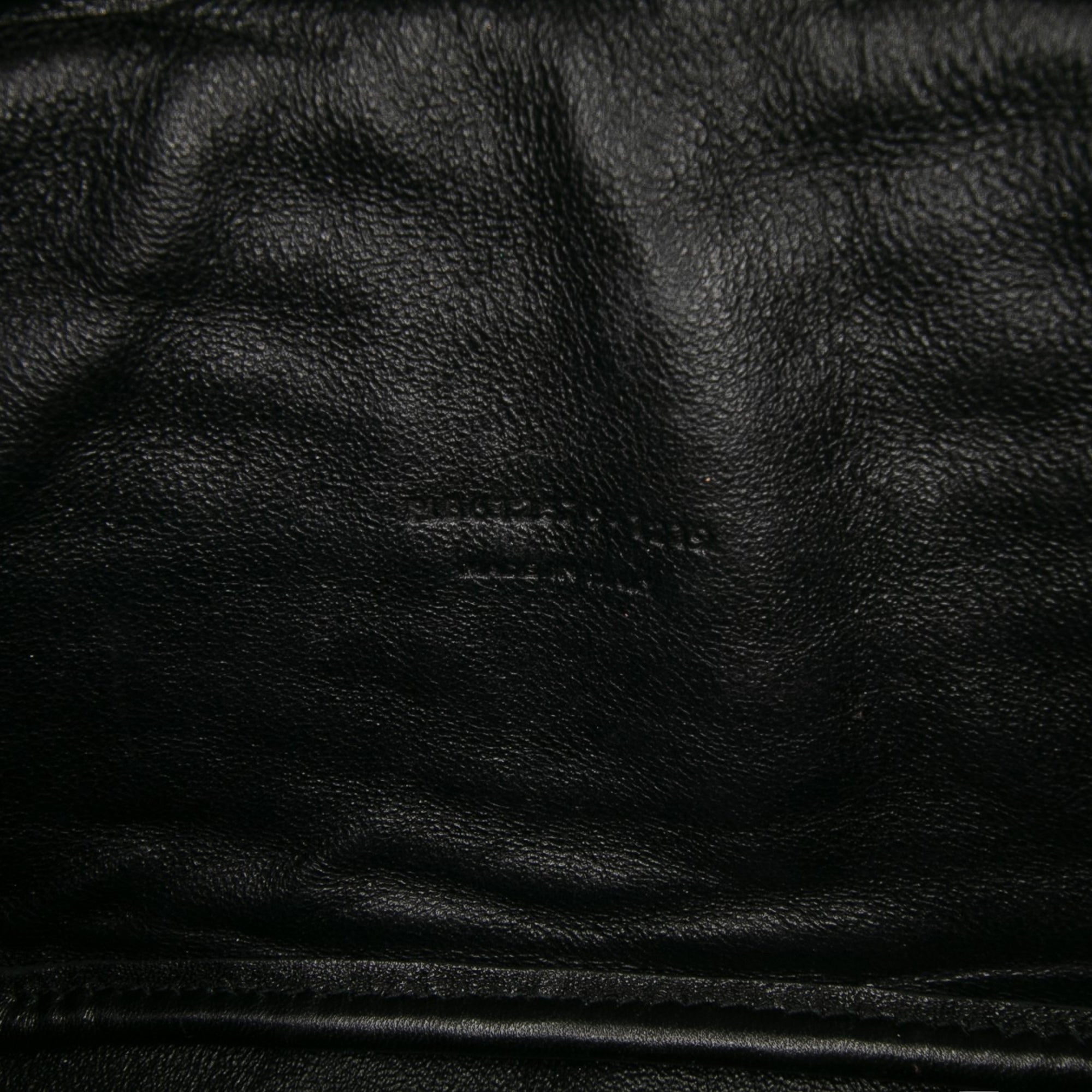 Mini Grain de Poudre Monogram Lou Camera Bag