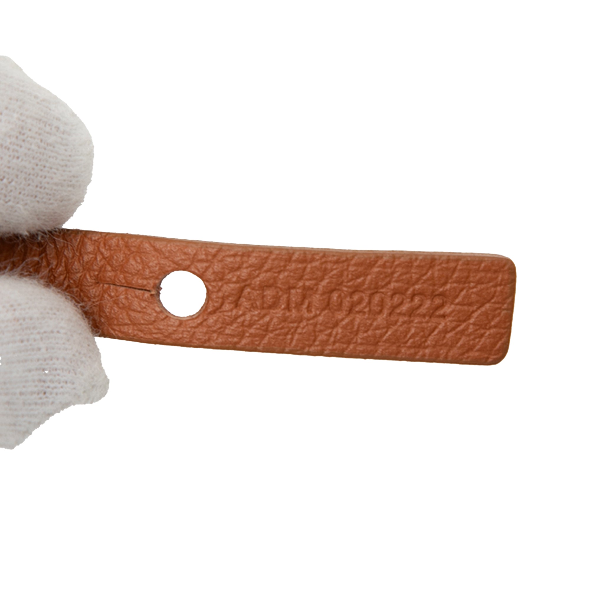 Goyardine Saint Louis PM