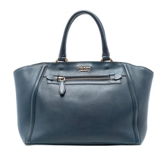 Large Visone City Calf Double Handle Shopping Tote