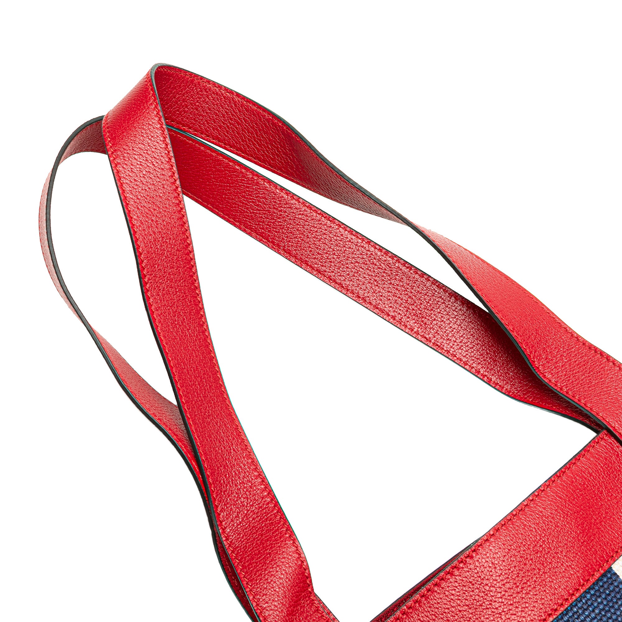 Canvas Sylvie Baiadera Tote