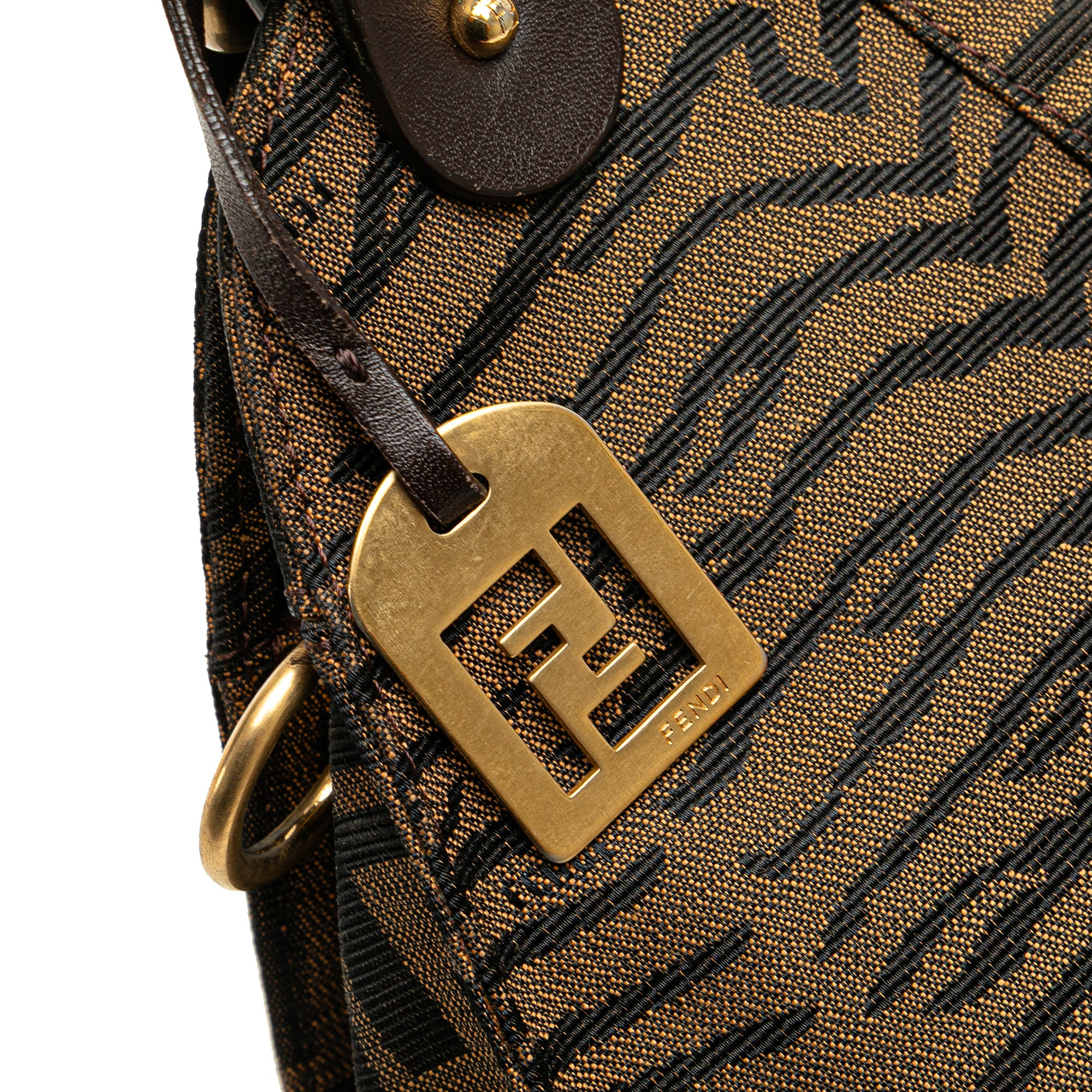 Zucca Zebra Print Canvas Diavolo Trapezio Handbag