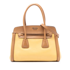 Bicolor Saffiano Cuir Trimmed Leather Satchel