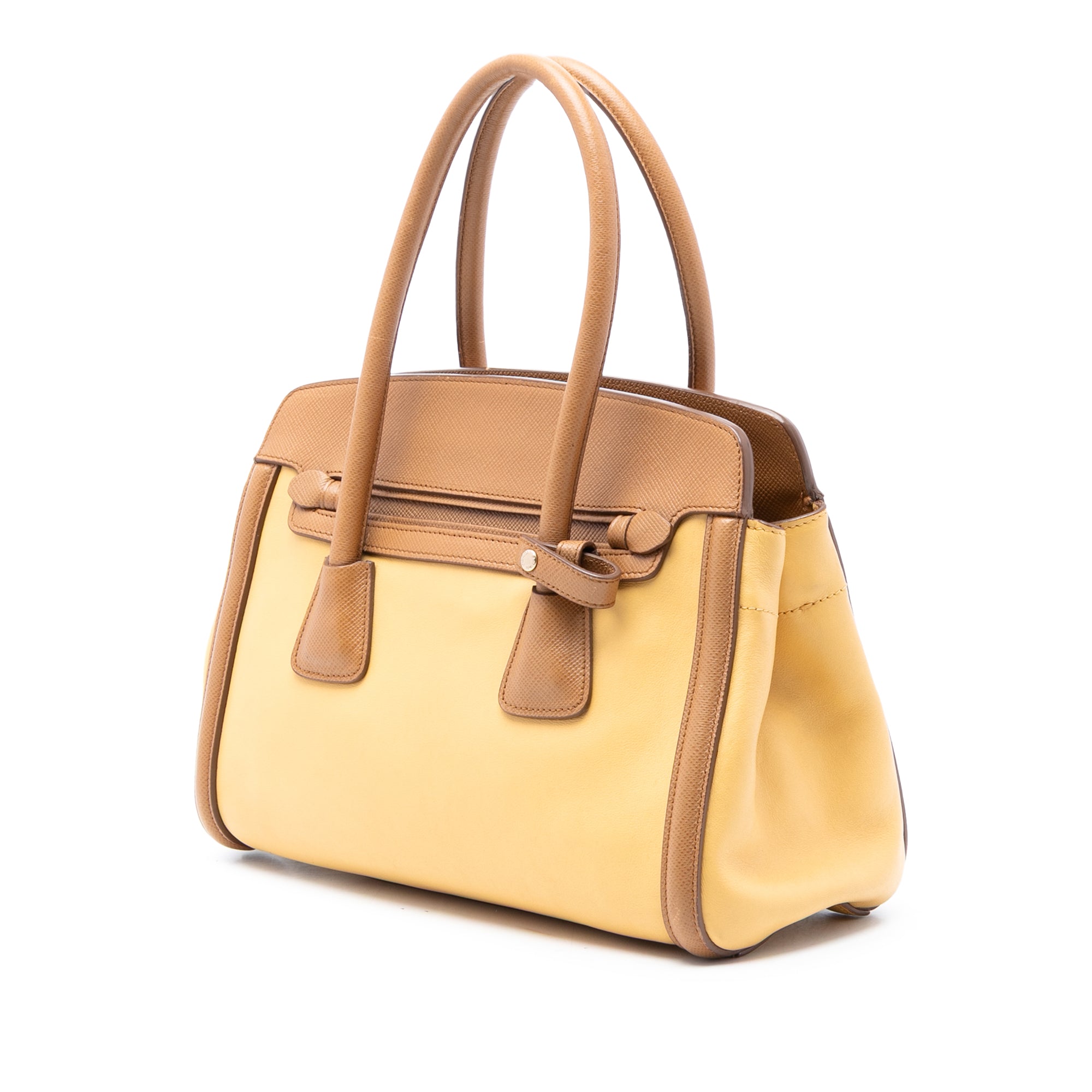 Bicolor Saffiano Cuir Trimmed Leather Satchel