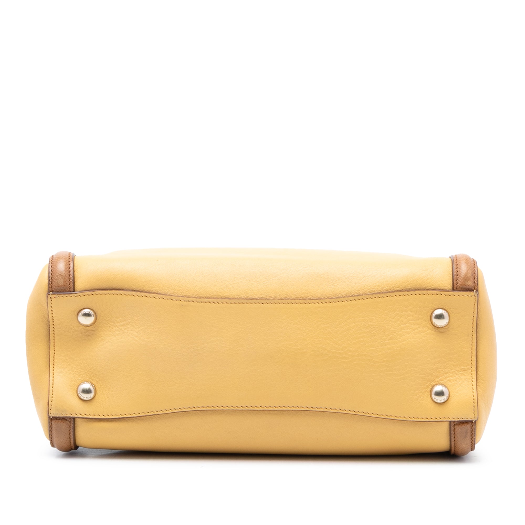 Bicolor Saffiano Cuir Trimmed Leather Satchel