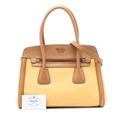 Bicolor Saffiano Cuir Trimmed Leather Satchel