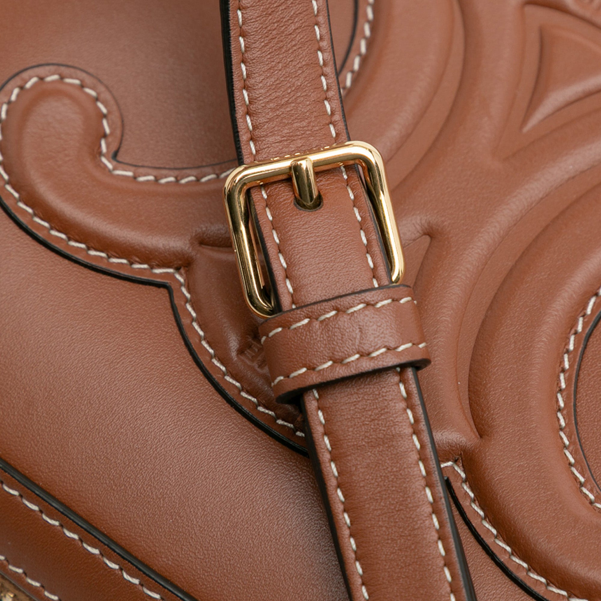 Mini Calfskin Cuir Triomphe Camera Shoulder Bag