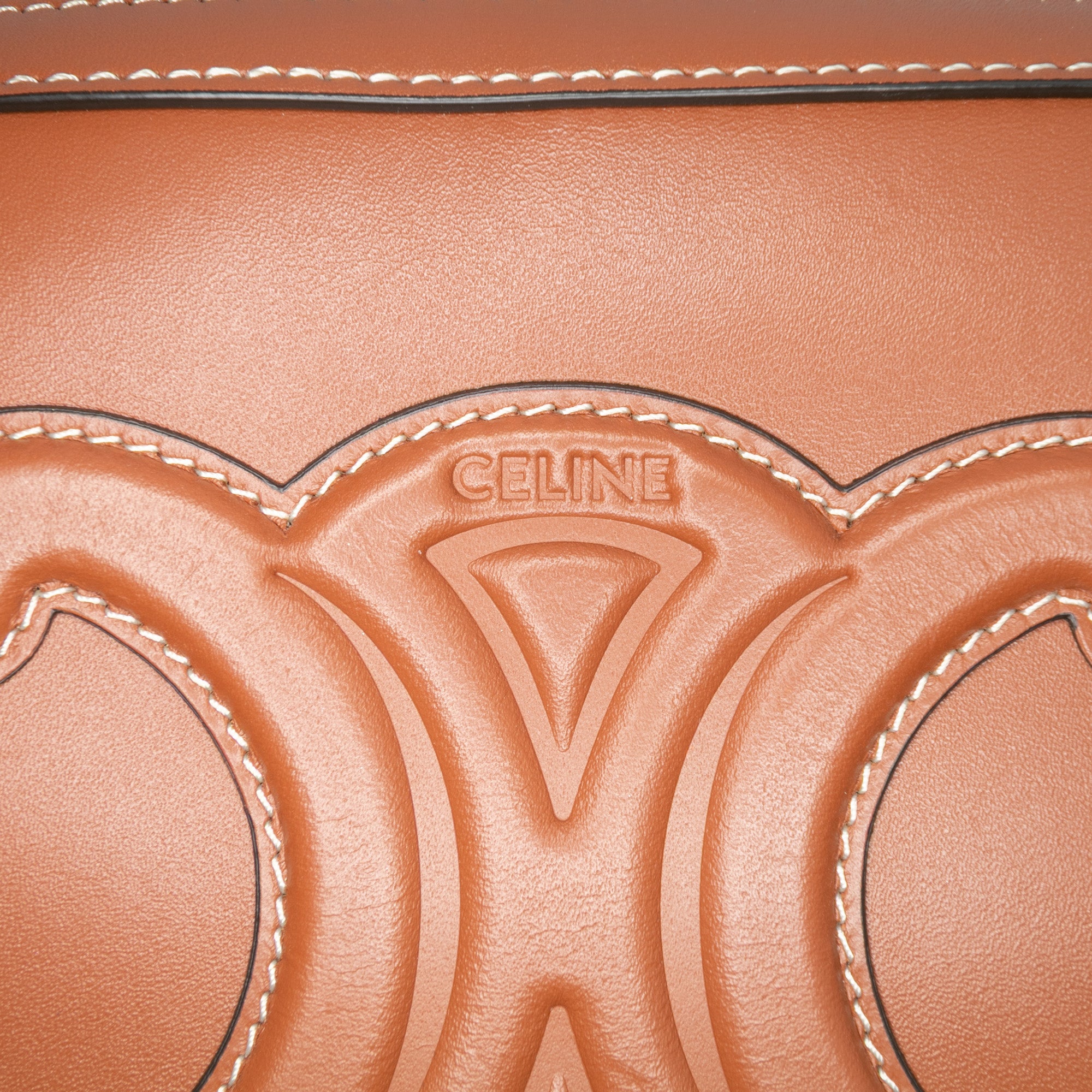 Mini Calfskin Cuir Triomphe Camera Shoulder Bag