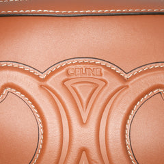 Mini Calfskin Cuir Triomphe Camera Shoulder Bag