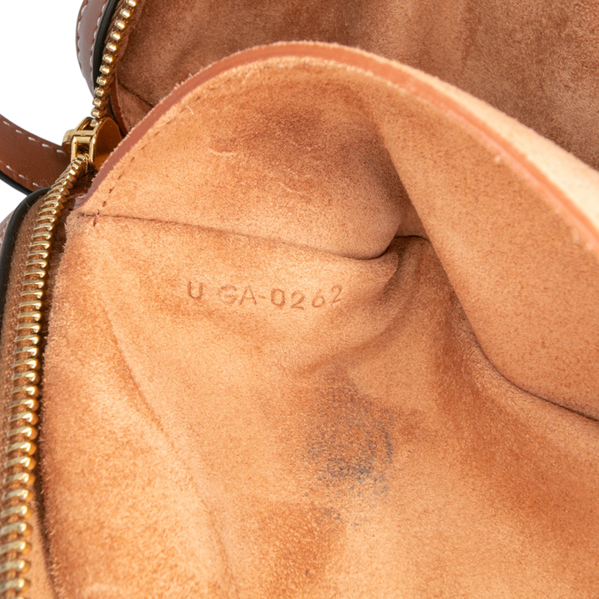 Mini Calfskin Cuir Triomphe Camera Shoulder Bag