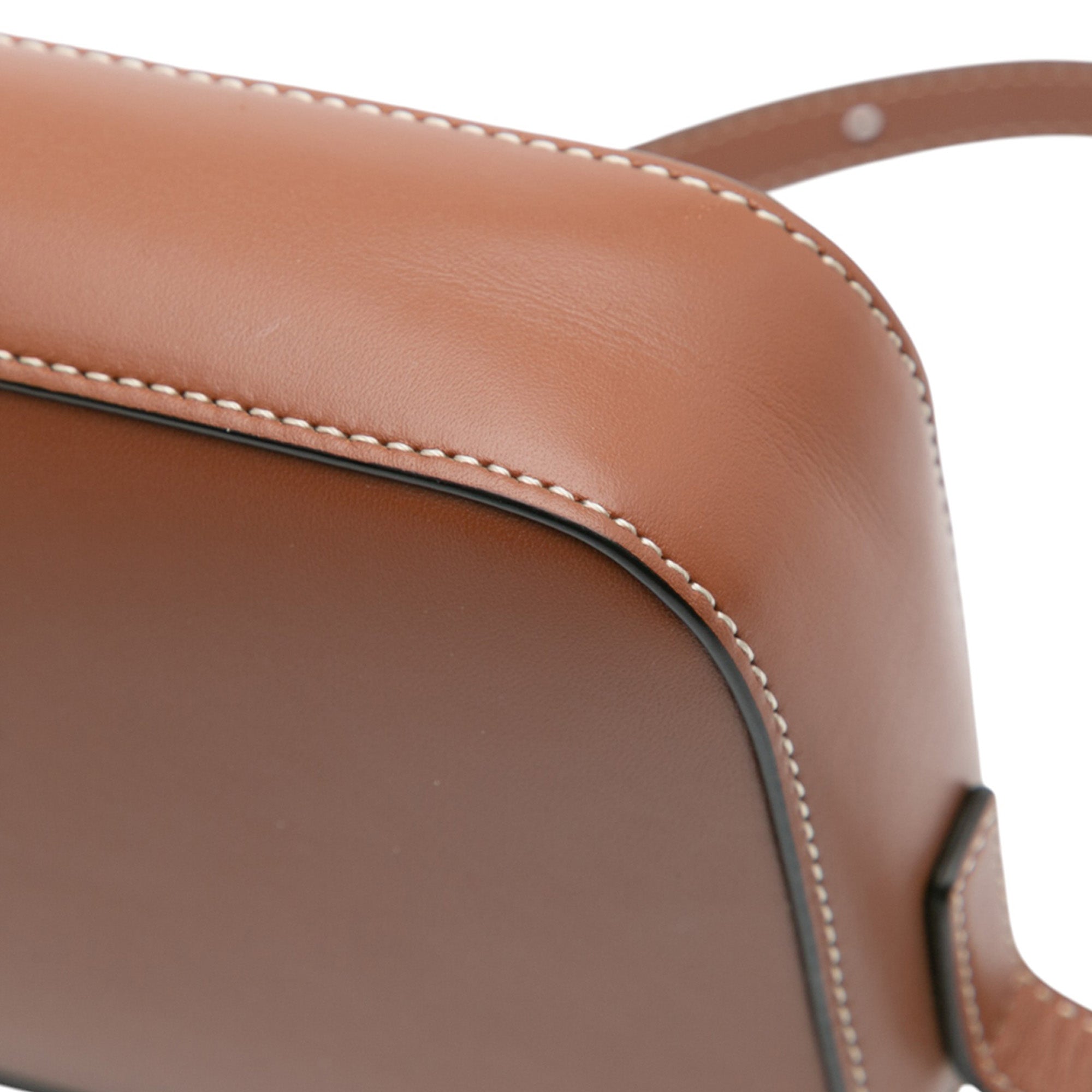 Mini Calfskin Cuir Triomphe Camera Shoulder Bag