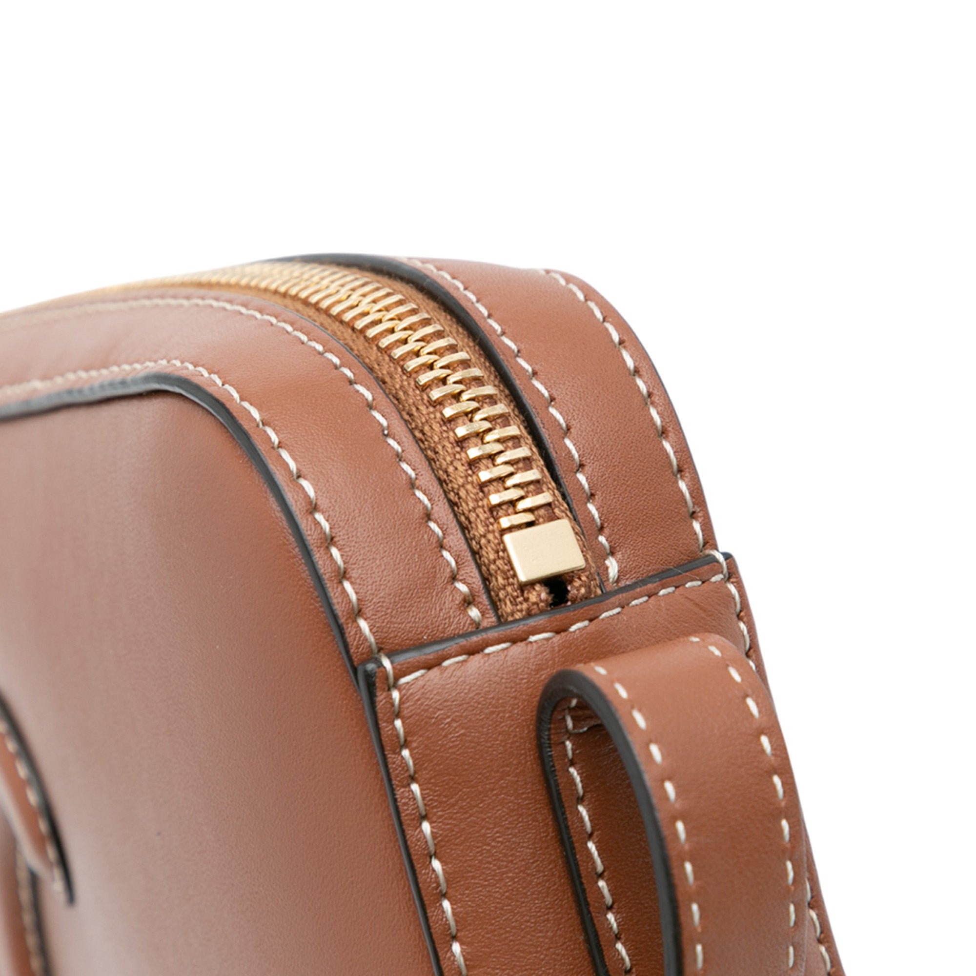 Mini Calfskin Cuir Triomphe Camera Shoulder Bag