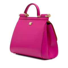 Medium Calfskin Dauphine Amore Soup Can Print Miss Sicily Satchel