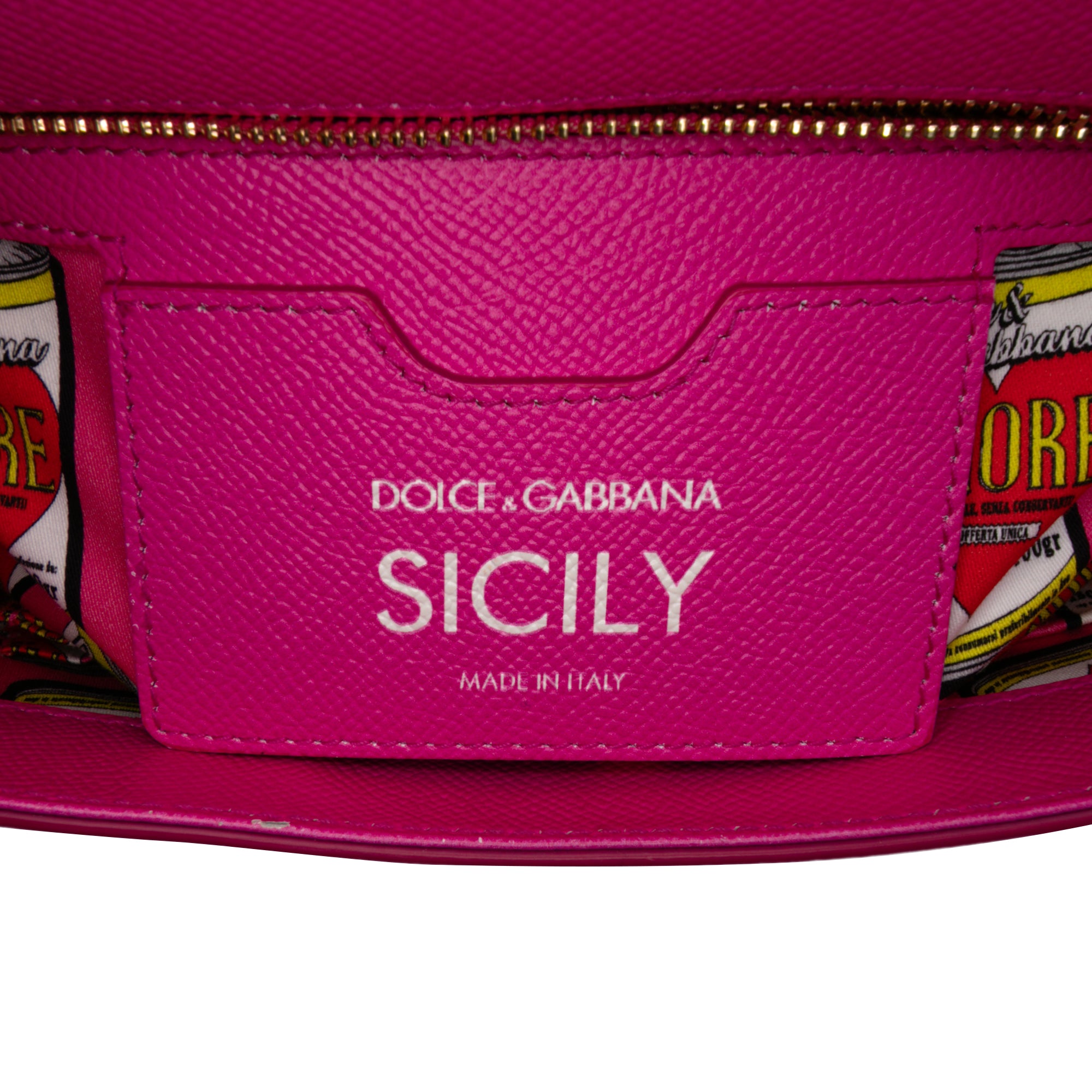 Medium Calfskin Dauphine Amore Soup Can Print Miss Sicily Satchel