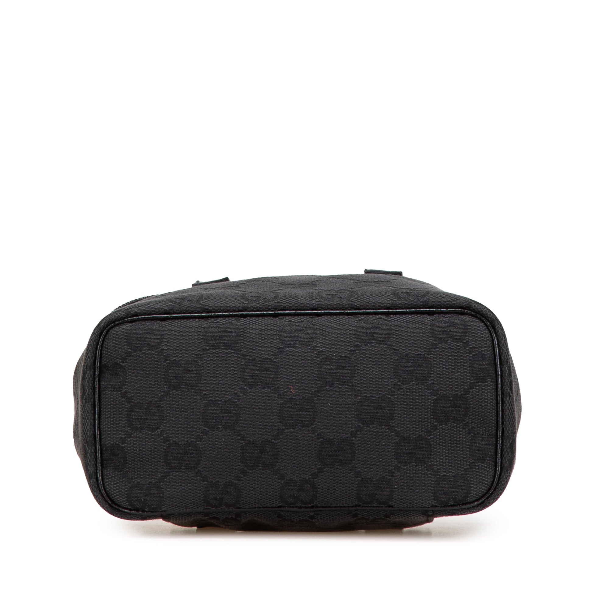 GG Canvas Vanity Bag