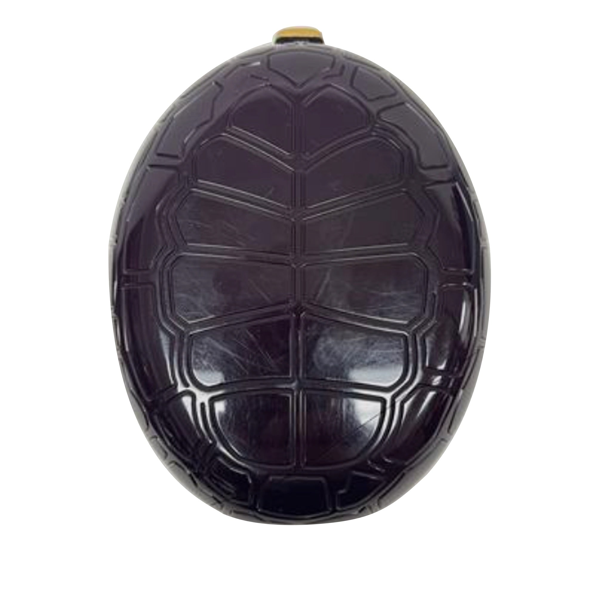Plexiglass Turtle Shell Minaudiere_2