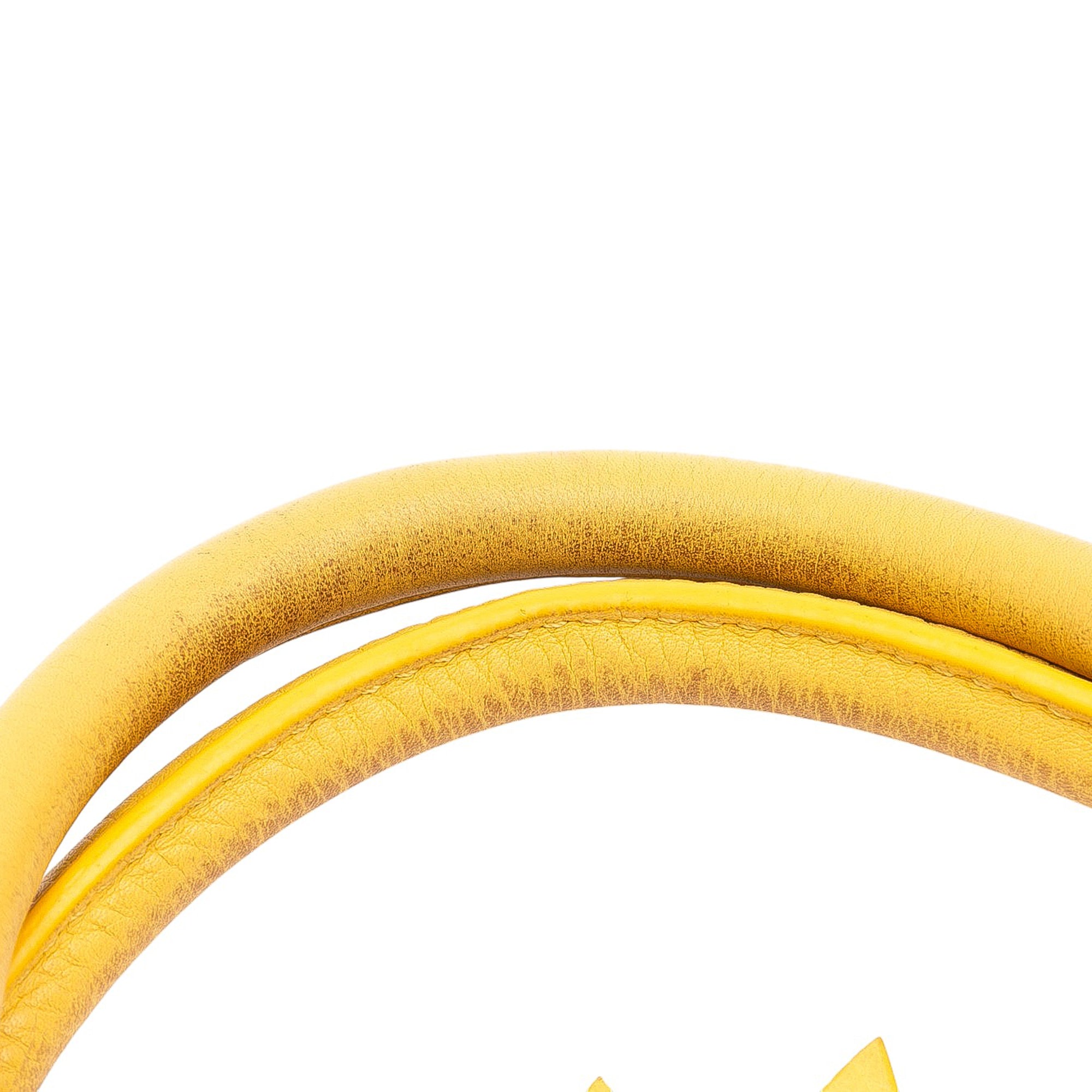 Medium Leather Phantom Luggage Tote