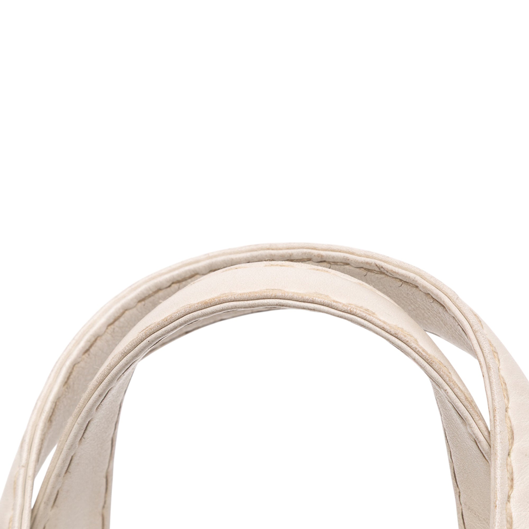 CC Lambskin Wild Stitch Handbag