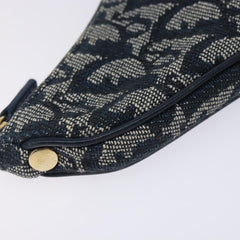 Dior Saddle