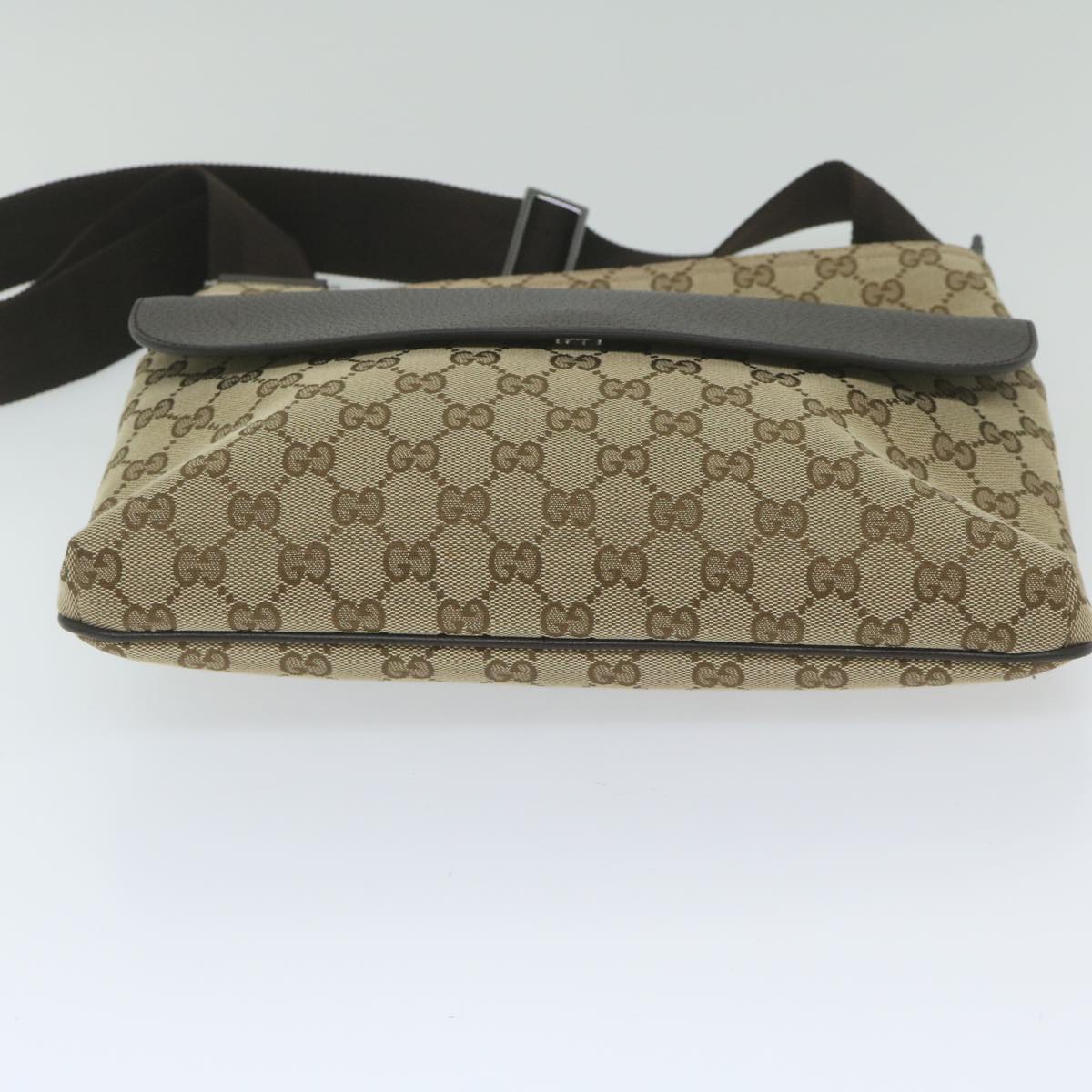 Gucci GG canvas