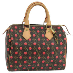 Louis Vuitton Speedy 25