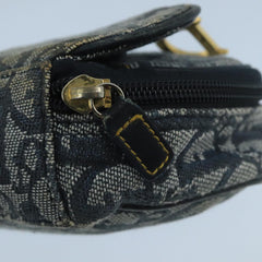 Dior Saddle
