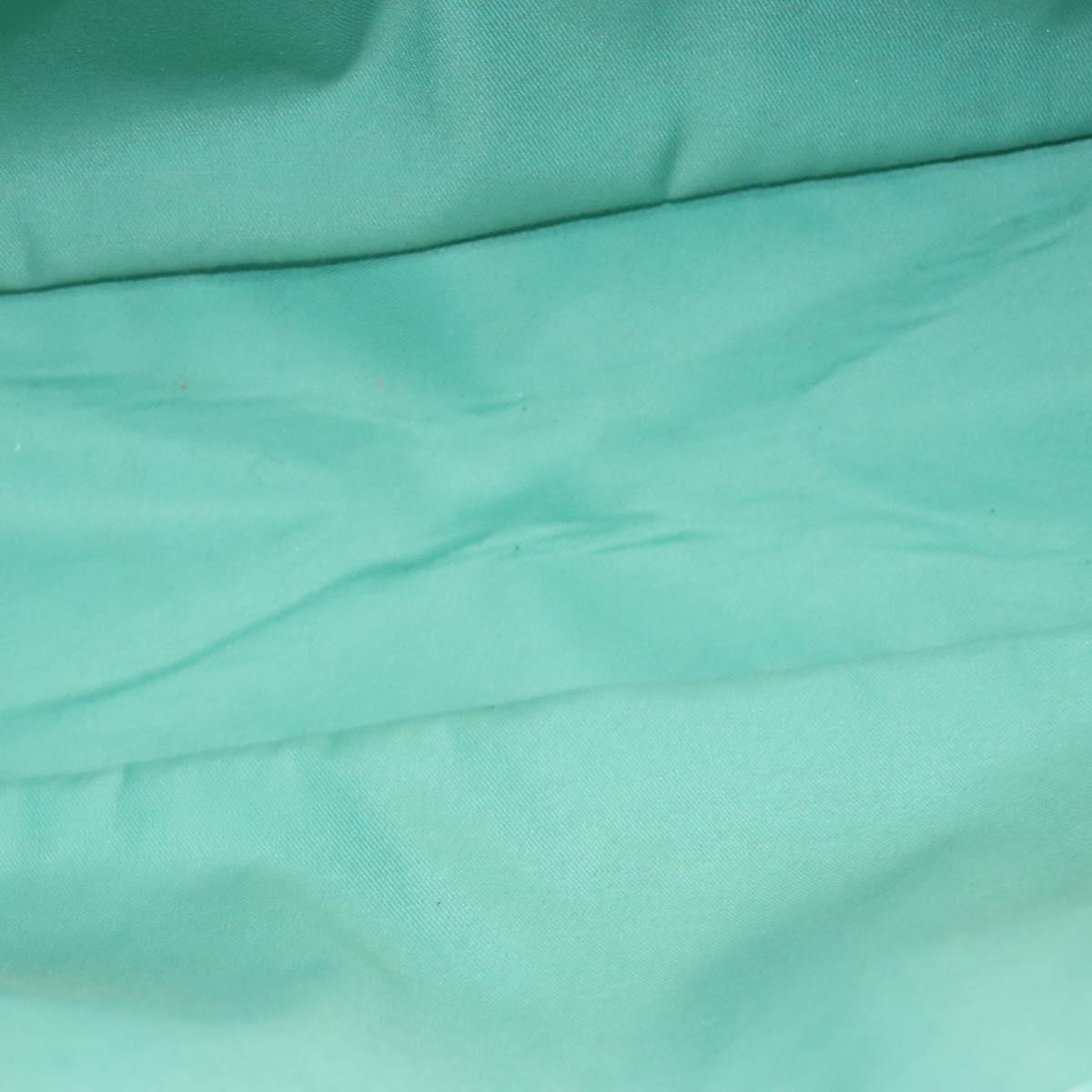 Gucci GG canvas
