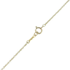 Tiffany & Co Paloma Picasso necklace