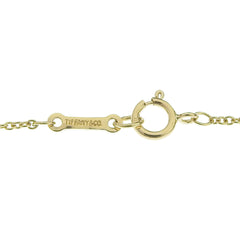 Tiffany & Co Paloma Picasso necklace