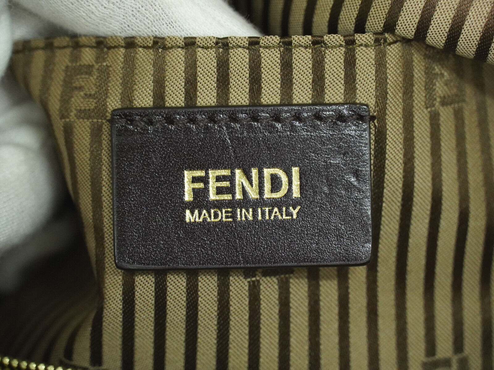 Fendi Chameleon