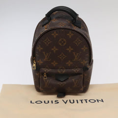 Louis Vuitton Palm Springs mini