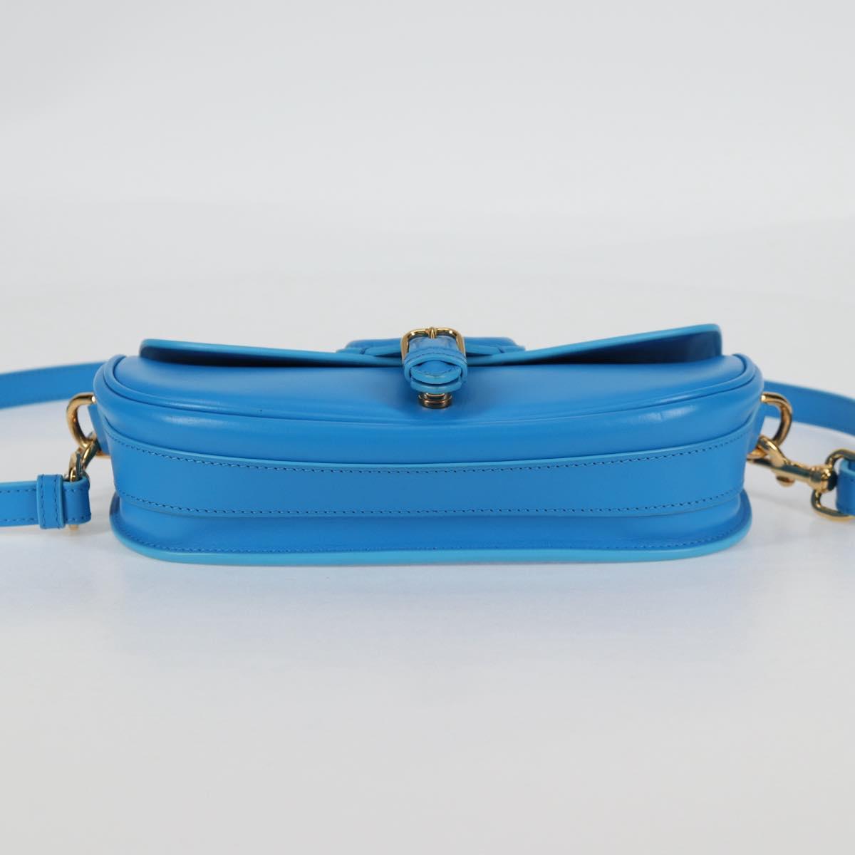 Dior Bobby medium