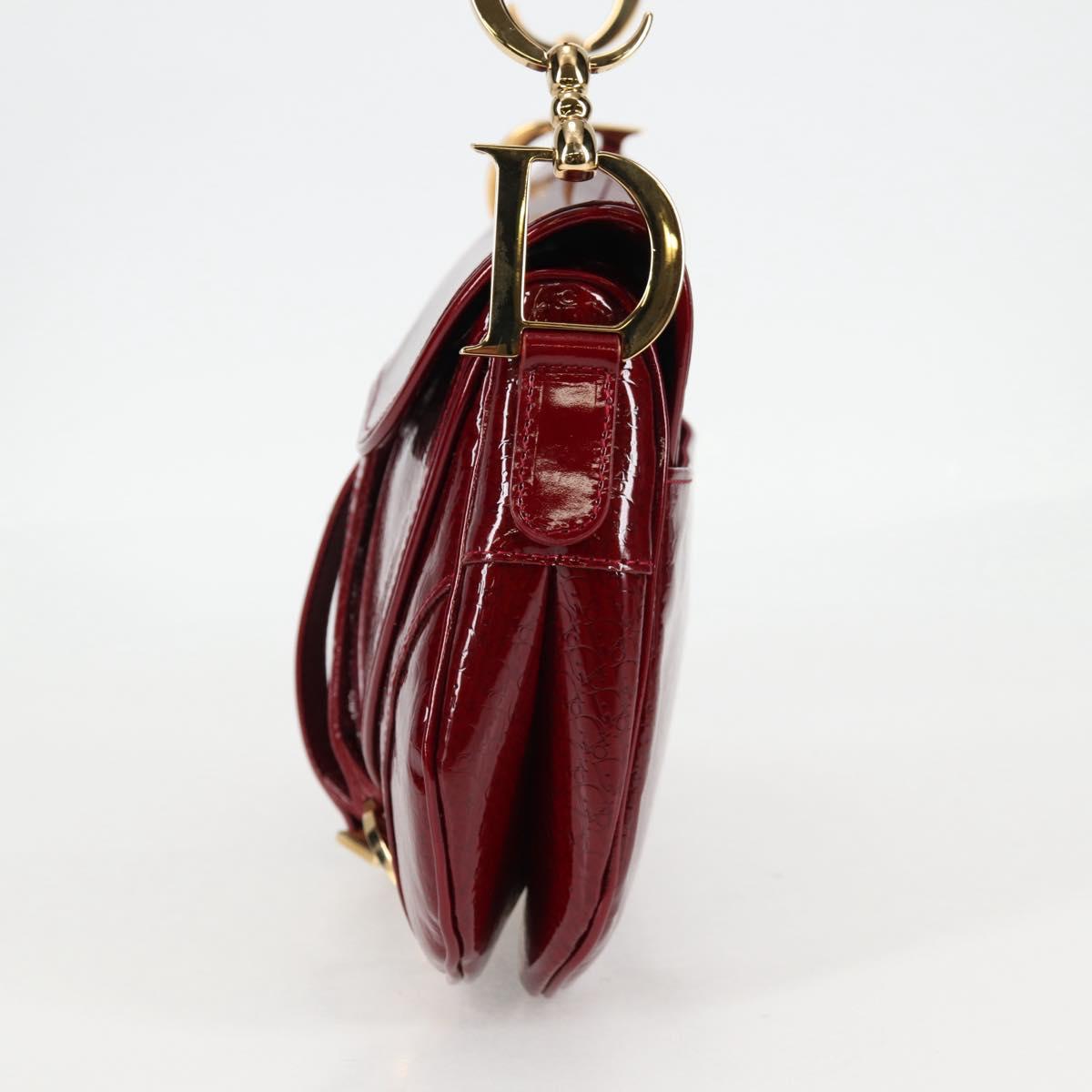 Dior Saddle